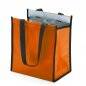 Bolsa-Termica-6-Litros-17309d2-1697224829.jpg