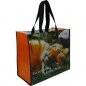 eco-bag-22-p.jpg