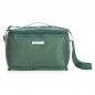 Bolsa-Termica-8-Litros-9164d5-1553713898.jpg