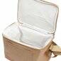 Bolsa-Termica-7L-15555d2-1669823385.jpg