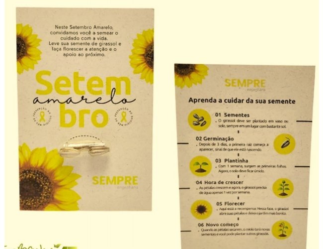 Tag com Semente em cápsula