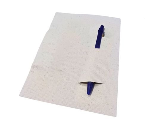 Kit papel semente com caneta